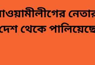 আওয়ামীলীগের নেতারা দেশ