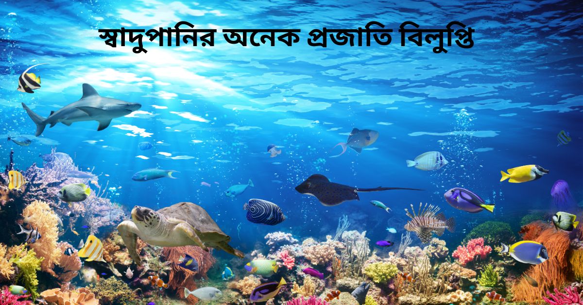 স্বাদুপানির অনেক প্রজাতি বিলুপ্তির